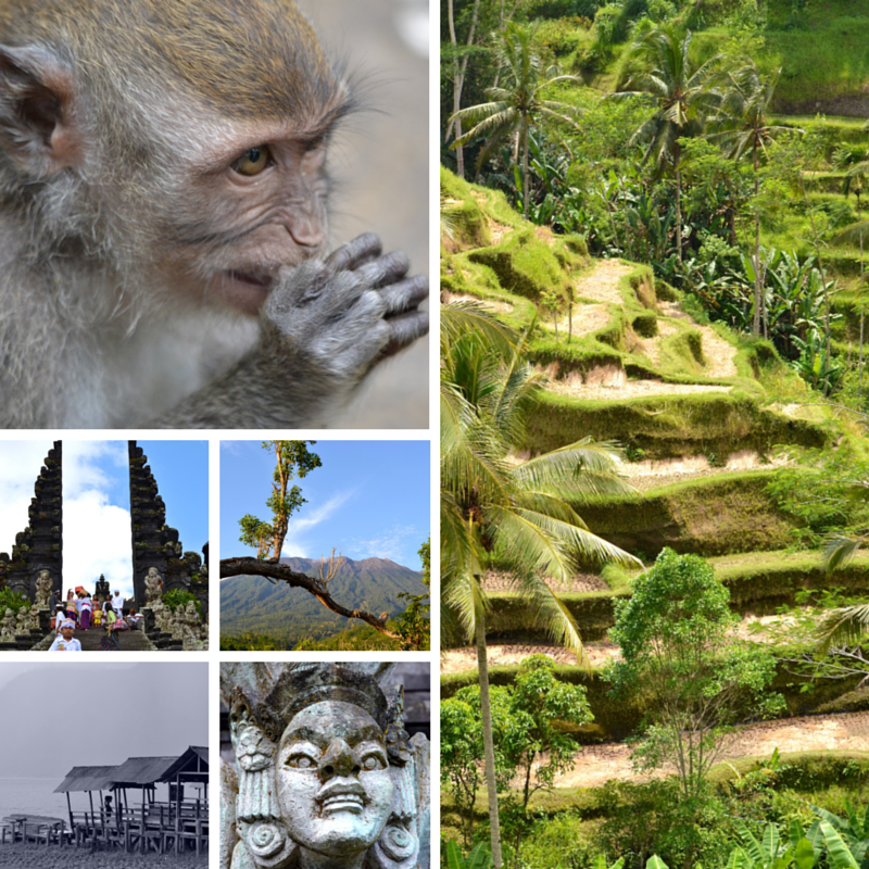 Bali 2010 Pic Collage