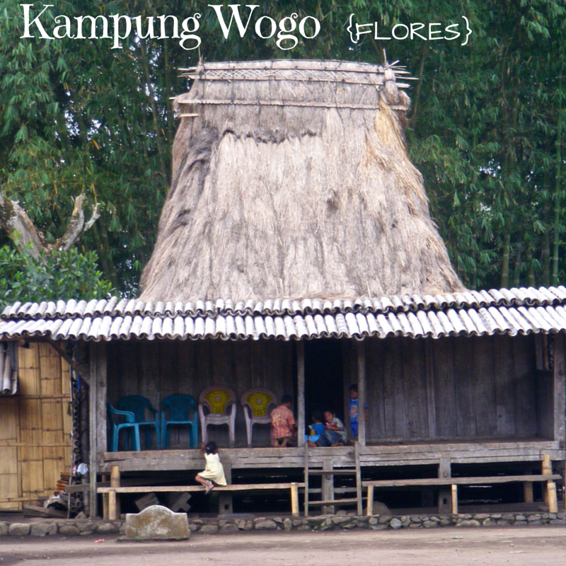 Kampung Wogo Flores Title Pic