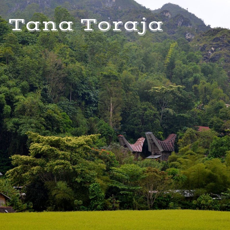 Tana Toraja Title Pic