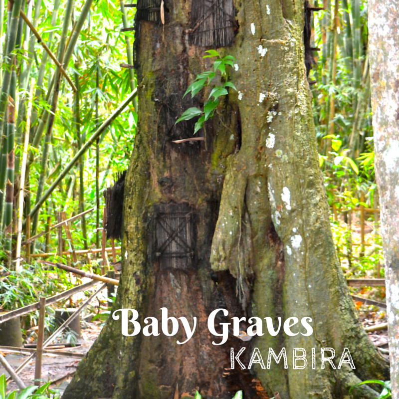 Kambira Baby Graves Title Pic