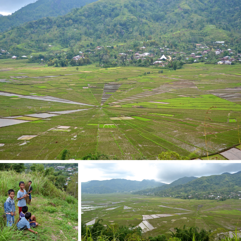 Ruteng circular rice fields
