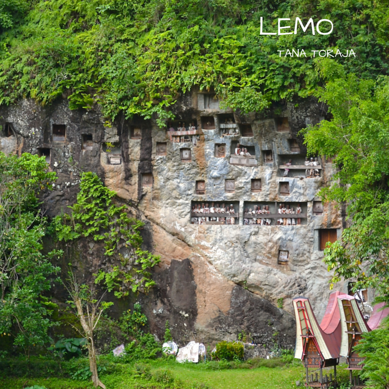 Tana Toraja Lemo Caves single pic