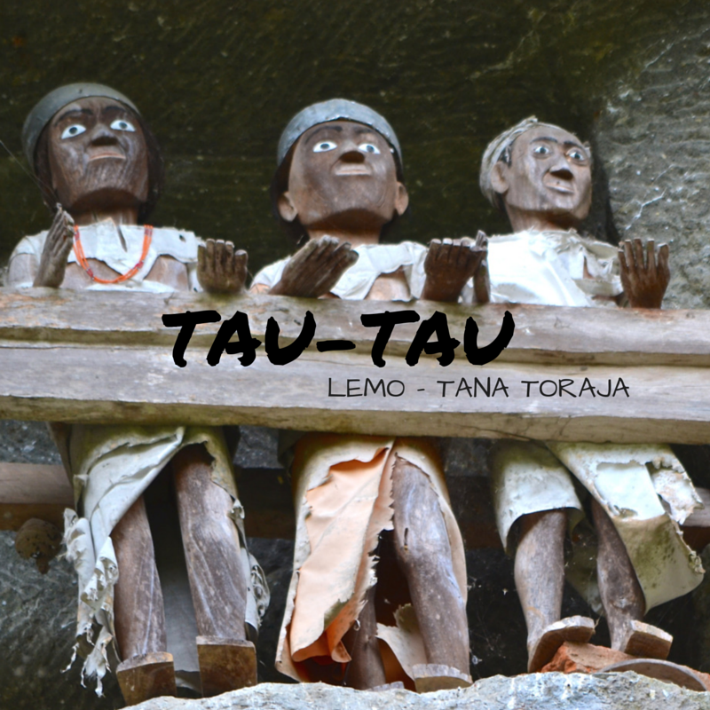 Tautau Lemo single title pic