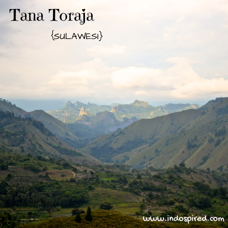Top 5 Tana Toraja