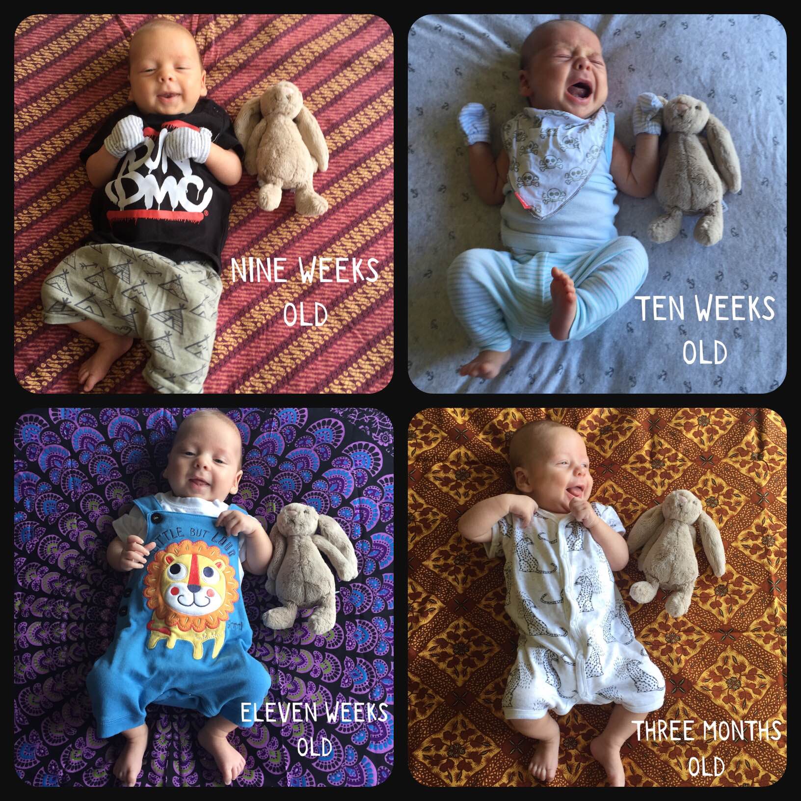 Seb 9-12 weeks old collage