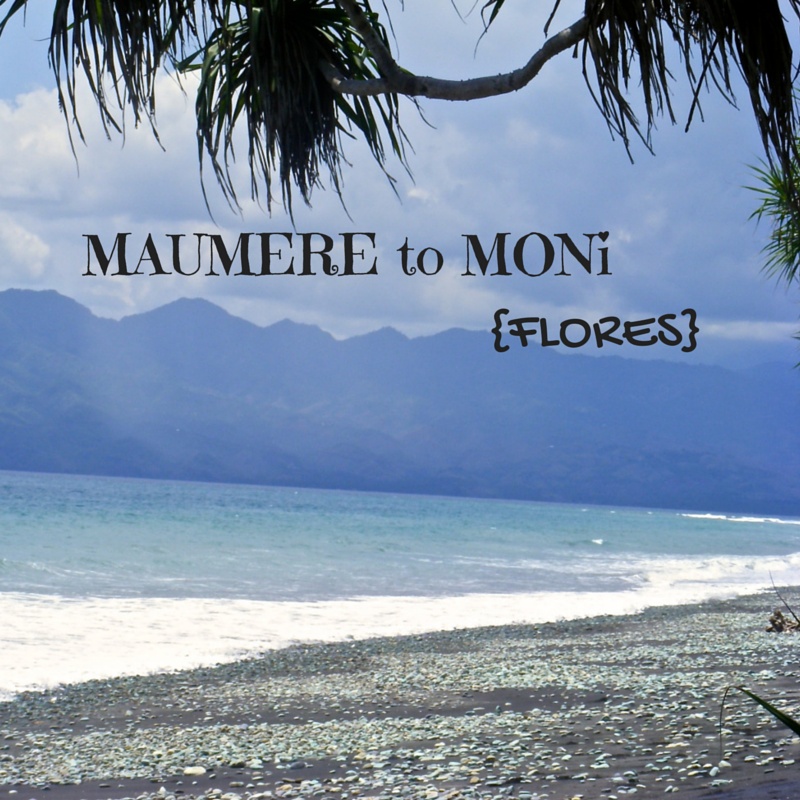 Maumere to Moni Flores Title Pic