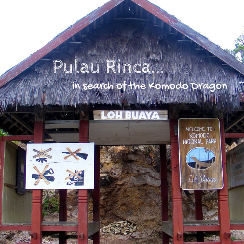 Pulau Rinca Title pic