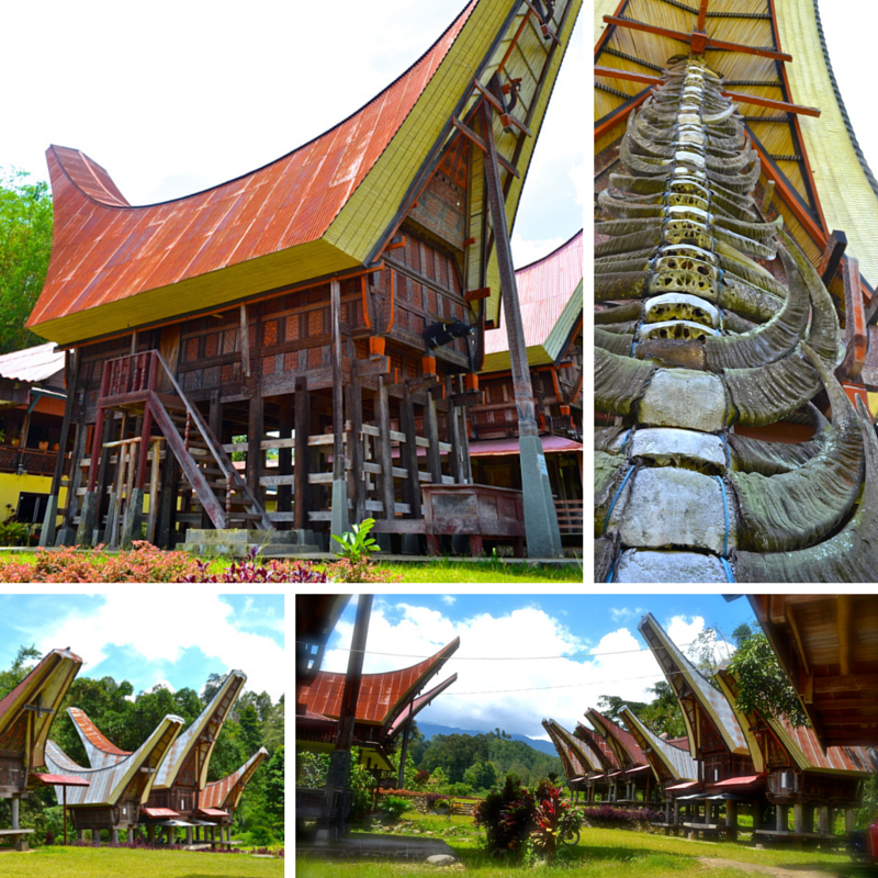 Tana Toraja Tongkonan Village Pic Collage
