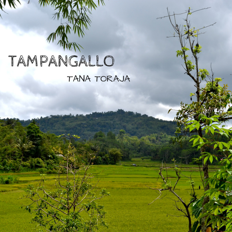 Tampangallo Tana Toraja Title Pic-3