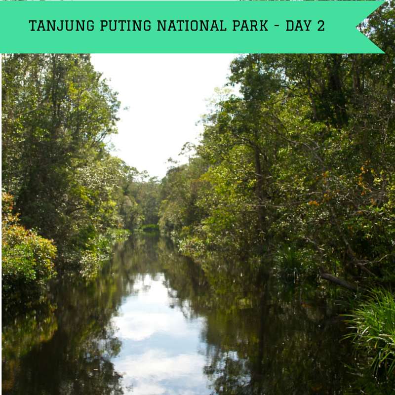 Tanjung Puting National Park Day 2 title Pic