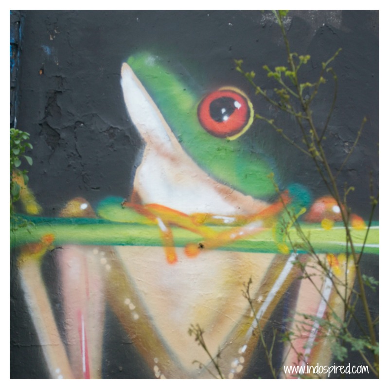 Frog street art Pic