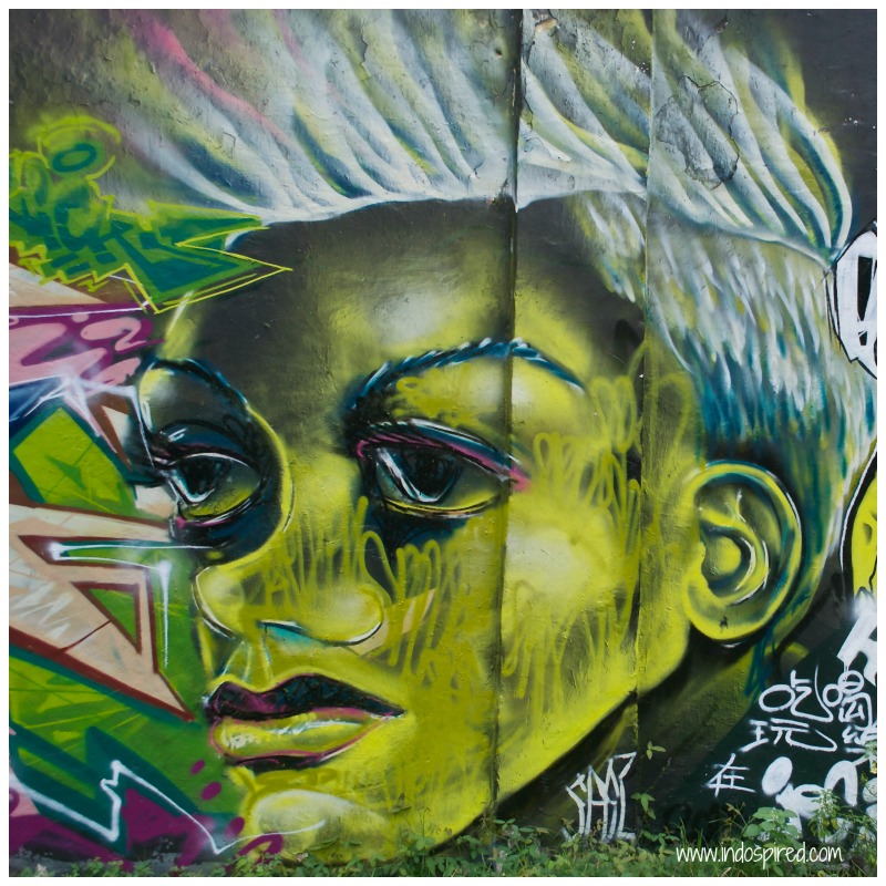 Green face lady street art Pic