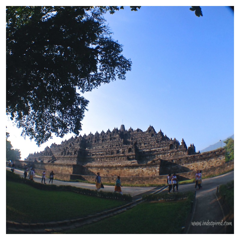 Borobudur Temple full pic