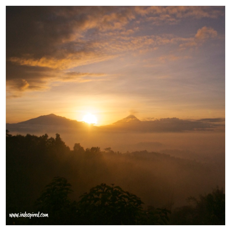 Borobudur sunrise NEW